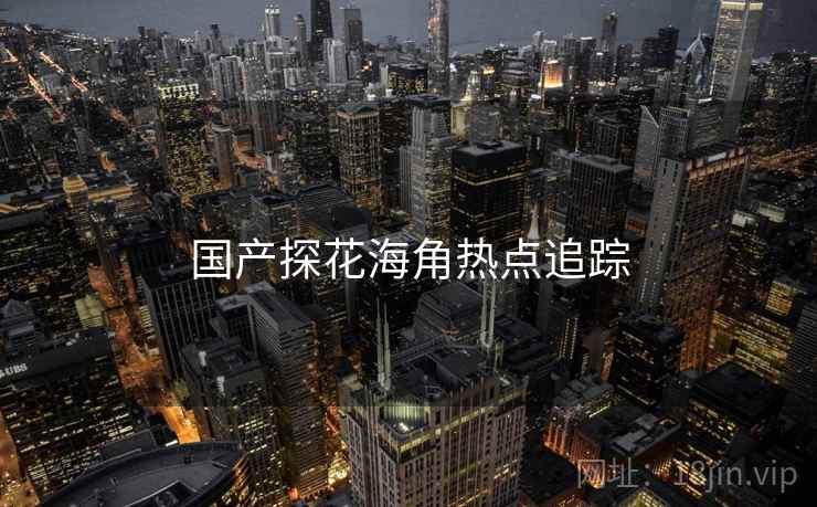 国产探花海角热点追踪