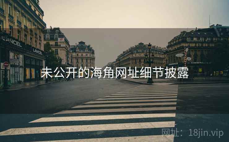 未公开的海角网址细节披露