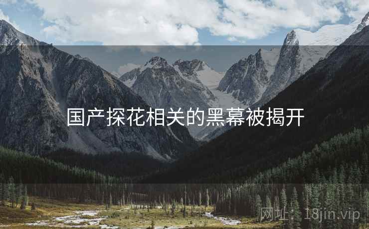 国产探花相关的黑幕被揭开