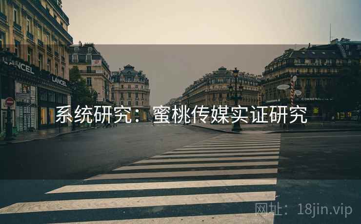 系统研究：蜜桃传媒实证研究
