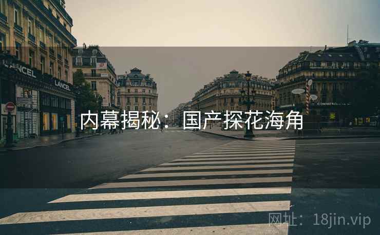 内幕揭秘：国产探花海角