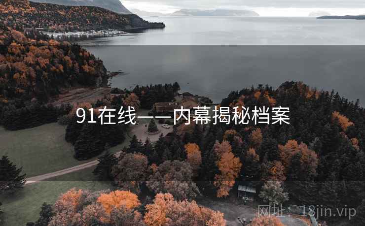 91在线——内幕揭秘档案