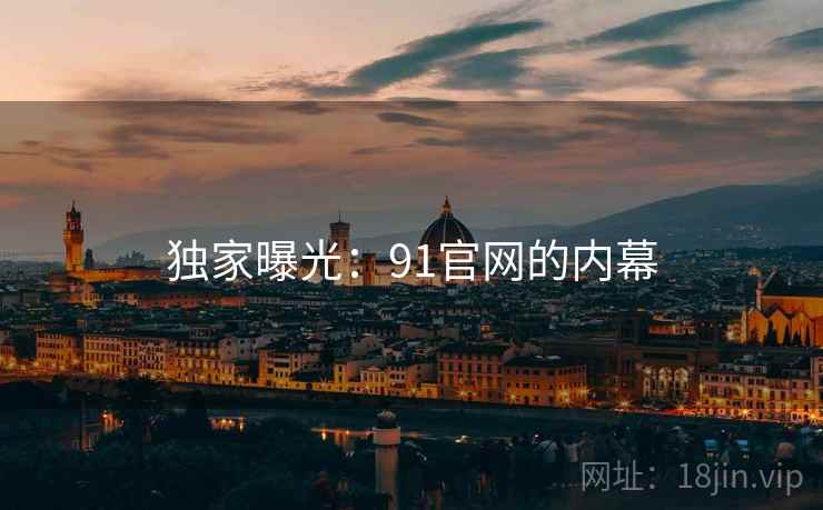 独家曝光：91官网的内幕