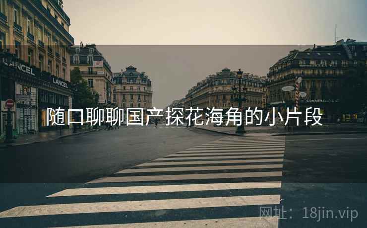 随口聊聊国产探花海角的小片段