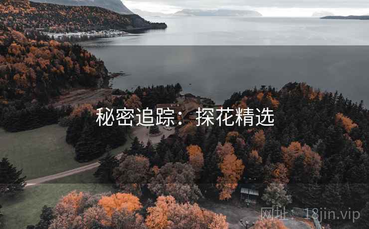 秘密追踪:探花精选