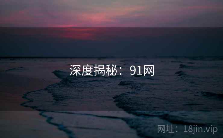 深度揭秘：91网