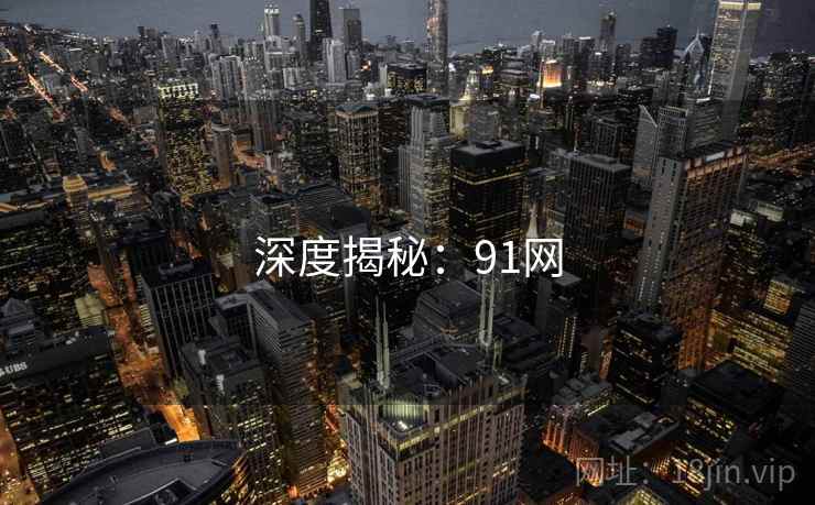 深度揭秘:91网