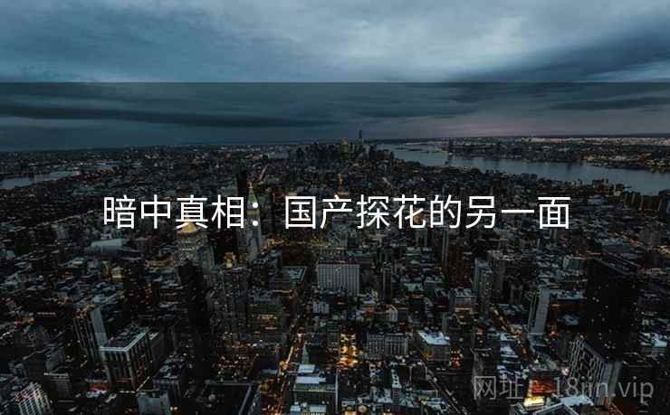 暗中真相:国产探花的另一面 暗中真相:国产探花的另一面