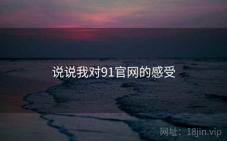 说说我对91官网的感受