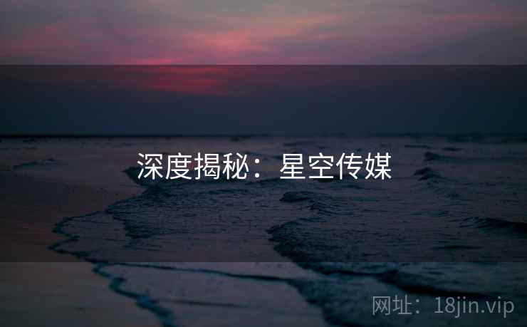 深度揭秘:星空传媒 深度揭秘:星空传媒