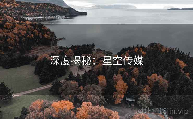深度揭秘:星空传媒