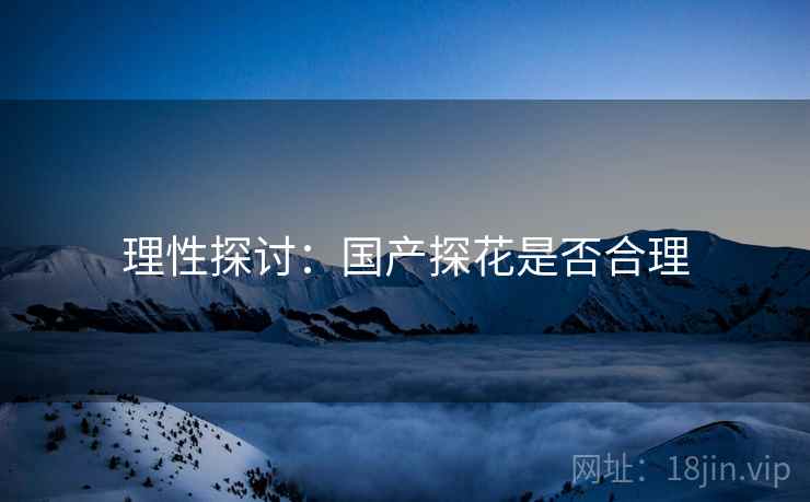 理性探讨:国产探花是否合理 理性探讨:国产探花是否合理