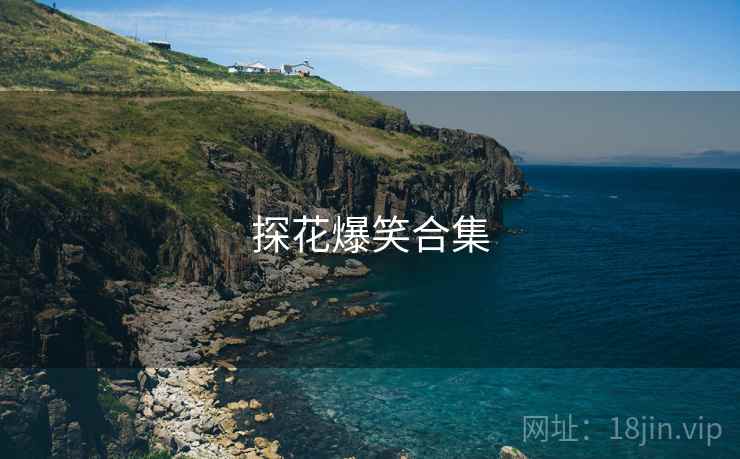 探花爆笑合集