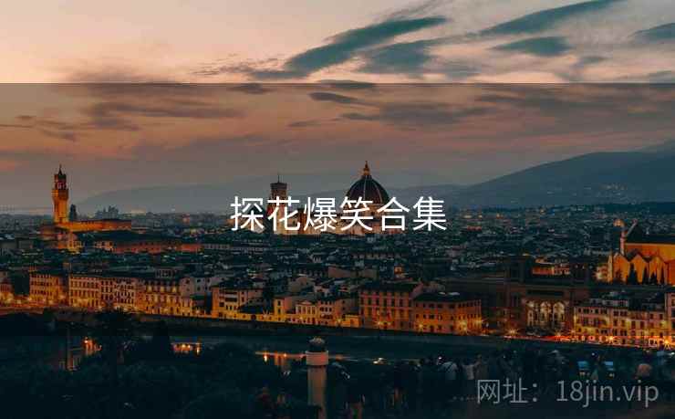 探花爆笑合集 探花爆笑合集