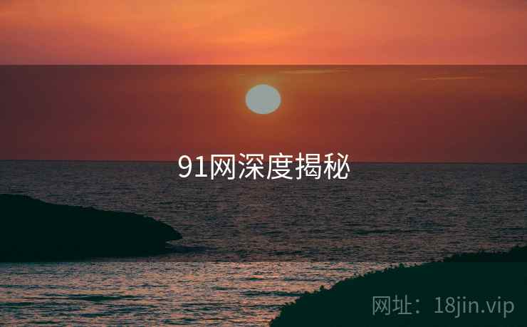 91网深度揭秘